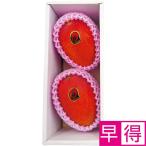  День отца . выгода Miyazaki префектура производство (JA запад столица ) Miyazaki манго 2 шт несессер 