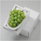  День отца Okayama префектура производство мускат *ob*areki Sand задний 