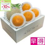 お歳暮早得 高知県産・愛媛県産 アールスメロン＆紅まどんな