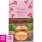 母の日早得 アサミグリーンプランツカーネーション「ホットハート」（ＳＵＳＴＥＥ付）＋神戸スイーツポート　母の日焼き菓子セット