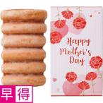 母の日早得 アサミグリーンプランツカーネーション「伝えたい想い」（ＳＵＳＴＥＥ付）＋神戸スイーツポートの母の日2層バウム（プレーン＆いちご）