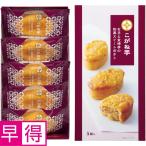 母の日早得 竹中庭園緑化母の日カーネーションアレンジ＋ひととえ　こがね芋