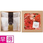 母の日早得 竹中庭園緑化母の日カーネーションアレンジ＋甘美　どら焼き