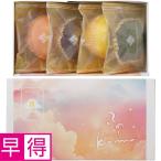 母の日早得 竹中庭園緑化母の日カーネーションアレンジ＋雪の雫　スイーツパレット