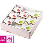 母の日早得 山形県産（ジェイエイてんどうフーズ）さくらんぼ・ラフランスぷるぷるゼリーセット