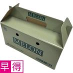  День матери . выгода Ibaraki префектура производство asahi . Anne tes дыня 