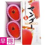  День матери . выгода Miyazaki префектура производство (JA запад столица ) Miyazaki premium манго 2 шт несессер 