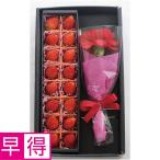 母の日早得 宮城県産いちご＆カーネーション