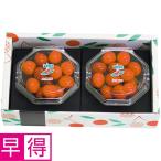  День матери . выгода Yamagata префектура производство вишня ( Sato .)100g×2