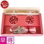 ★3/22 23:59までポイント10倍★母の日早得 山形県産さくらんぼ（佐藤錦）カーネーションミニ花束