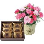 母の日 カーネーション（ホットハート）とＴ．Ｄ．Ｅａｒｌｙ　キャラメリゼバウム