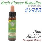 ショッピングクレマチス フラワーレメディ　バッチシリーズ（フラワーエッセンス）　クレマチス　10ml（オーガニックブランデー使用）