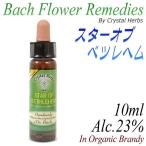 フラワーレメディ　バッチシリーズ（フラワーエッセンス）　スターオブベツレヘム　10ml（オーガニックブランデー使用）