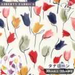 ショッピングローン 生地 リバティプリント 国産 チューリップ・シャドー 2026 Eternal Collection タナローン ■ リバティ・ファブリックス 3631229 ■