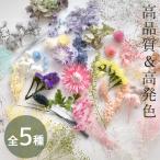 ドライフラワー 大地農園 アソート セット 全5種類 ケース付 ■ 紫陽花 かすみ草 ミックス レジン アクセサリー 花材 ハーバリウム  ■