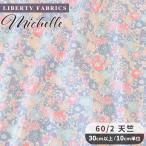リバティプリント 国産 60/2 天竺 ミシェル ■ リバティ・ファブリックス LIBERTY FABRICS 生地 タナローン 国産 リバティ ■ sale3