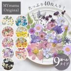 ショッピングドライフラワー 押し花 セット 40枚 レジン封入 全9種 ■ ドライフラワー レジン液 ネイル パーツ myr MIX ミックス 封入 パーツ 花材 ブリザード フラワー 天然素材 ■