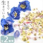 ドライフラワー レジン 花材 セット 全2種類 ■ ケース付き 封入 パーツ 小花 花 ミックス 小分け 素材 材料 国産 ■
