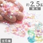 オーロラ ホログラム まぜまぜ 約2.5g 全6種 ■ かわいい ゆめかわ ミニ シャカシャカ シェイカー レジン 封入 カシャカシャ ゆめかわ ポイント消化 プチプラ ■