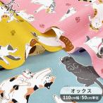 オックス 生地 可愛い へそ天 にゃんこ ■ のんびり ANIMALS ねこ 猫柄 ヘソ天 アニマルズ オックス生地 肉球 癒やし ■