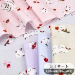  матирующий ламинирование ткань симпатичный simaenaga&amp; вишня # птица Cherry фрукты животное ламинирование обработка ручная работа коммерческий использование возможно eki10 #