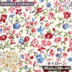  ткань Liberty принт местного производства pouji-*medou2025 SStana заем # Liberty * ткань s34895 #