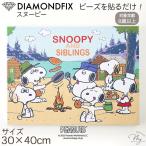 ダイヤモンドアート スヌーピー アートパネル キット 30×40cm 宅配送料無料 ■ キャラクター ダイヤモンドフィックス メイキングトイ ■ dia