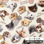 ショッピングシーチング 生地 布 布地 シーチング 可愛い 猫 肉球 シャカにゃん インクジェット デジタル プリント ■ KOMUSTRADA ハンドメイド 手芸 手作り ■