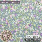 ショッピングリバティ リバティプリント トゥルーコットン ゲリー・アンド・ゴーチェ 2025 Hokkoh made with Liberty Fabric Vol.2 ■ リバティ・ファブリックス LB-6120-2 ■