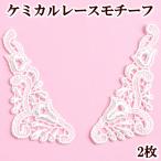 国産ケミカルレース モチーフ トランペットフラワー 2枚セット ■ 手芸 クラフト 装飾 オフホワイト ドレス ハンドメイド 手作り 衣装 レース ■
