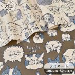  ткань матирующий ламинирование кошка лицо рисунок # KOKKA Doole Animal Cats face.. кошка животное животное винил покрытие ламинирование обработка bi Nico #