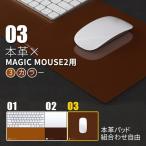 Magic Mouse 2用 レザーパッド BEFiNE Plus Pad 2（ビファイン プラスパッド2）マジックマウス マウスパッド,macマウスバット