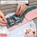 くまのがっこう エコー写真が収納できるアルバム 「10ツキ10カものがたり」(ギフト対象）
