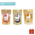 ドクターズチョイス　納豆菌　フリーズドライ　フルーツ　8g　(いちご・ブルーベリ