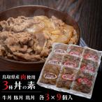 牛丼 豚丼 とり丼 丼の素 セット 9個入 牛肉 豚肉 鶏肉 鳥取牛 惣菜 国産牛 鳥取県産 お祝い ギフト プレゼント 誕生日 送料無料(北海道・沖縄を除く)