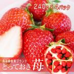 ショッピングいちご いちご 鳥取県新ブランド とっておき 苺 とっておき 4P詰合せ 有機肥料使用 産地直送 ブランド イチゴ  大粒苺 鳥取 送料無料（北海道・沖縄を除く）