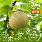 梨 秋栄 自宅用 3kg 10~12玉入 鳥取県産 あきばえ 訳あり 送料無料(北海道・沖縄を除く)