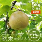 梨 秋栄 自宅用 5kg 10~16玉入 鳥取県産 あきばえ 訳あり 送料無料(北海道・沖縄を除く)