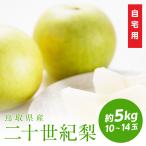 爆買 梨 二十世紀梨 予約 自宅用 5kg 10~14玉入 鳥取県産 20世紀梨 訳あり 送料無料(北海道・沖縄を除く)