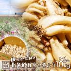  rakkyou корень имеется земля имеется север статья песок . rakkyou 10kg 1kg×10 пакет S M смешивание размер сырой ... серия Tottori север . блок север статья блок песок . прямая поставка от производителя свежий . без доставки 