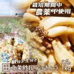  rakkyou корень имеется земля имеется север статья песок . rakkyou культивирование период средний пестициды не использование 1kg S M смешивание размер сырой ... серия Tottori север . песок . прямая поставка от производителя свежий . без доставки 