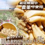  rakkyou корень имеется земля имеется север статья песок . rakkyou культивирование период средний пестициды не использование 10kg 1kg×10 пакет S M смешивание размер сырой ... серия Tottori север . песок . прямая поставка от производителя свежий . без доставки 