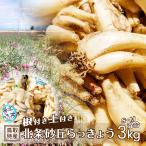  rakkyou корень имеется земля имеется север статья песок . rakkyou 3kg 1kg×3 пакет S M смешивание размер сырой ... серия Tottori север . блок север статья блок песок . прямая поставка от производителя свежий . без доставки 