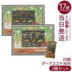 エステプロラボ プロテインナチュラ グランプロ ダークココア 20袋 賞味期限2026年12月 2個セット 100%植物性プロテイン ESTHE PRO LABO サロン専売品