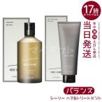 ルベル LEBEL シーソー ヘア&amp;スキャルプシャンプーバランス B 2