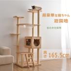 【全品10%OFF】キャットタワー 木製 可愛い麻紐 爪とぎボール 猫ベッド 透明宇宙船 頑丈 据え置き  安全安心 ペット用品