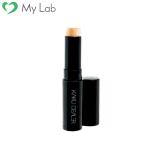 【今だけ更に100円OFF】コンシーラー スティック 肌 傷跡 毛穴 カクシーラーEX ナチュラル しみ 刺青 傷 タトゥー 隠し あざ ニキビ跡 メーカー正規代理店