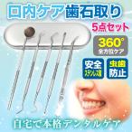 歯石取り 歯石除去 デンタルケア スケーラー ヤニ取り 口内ケア 虫歯防止 器具 オーラルケア