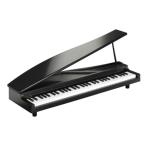 KORG MICROPIANO микро фортепьяно Mini клавиатура 61 ключ черный 61 искривление. demo song встроенный автоматика исполнение возможность 