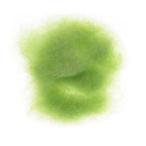 ティムコ(TIEMCO) フライマテリアル TMC ペレットダブ メロン #09